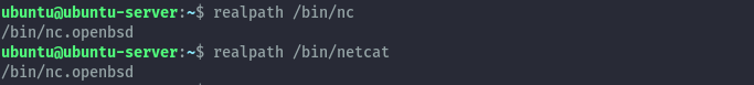 netcat-3.png